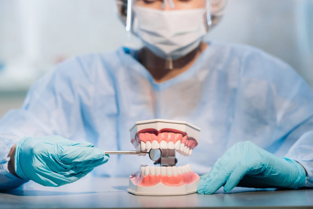 Dentist holding dental prosthesis