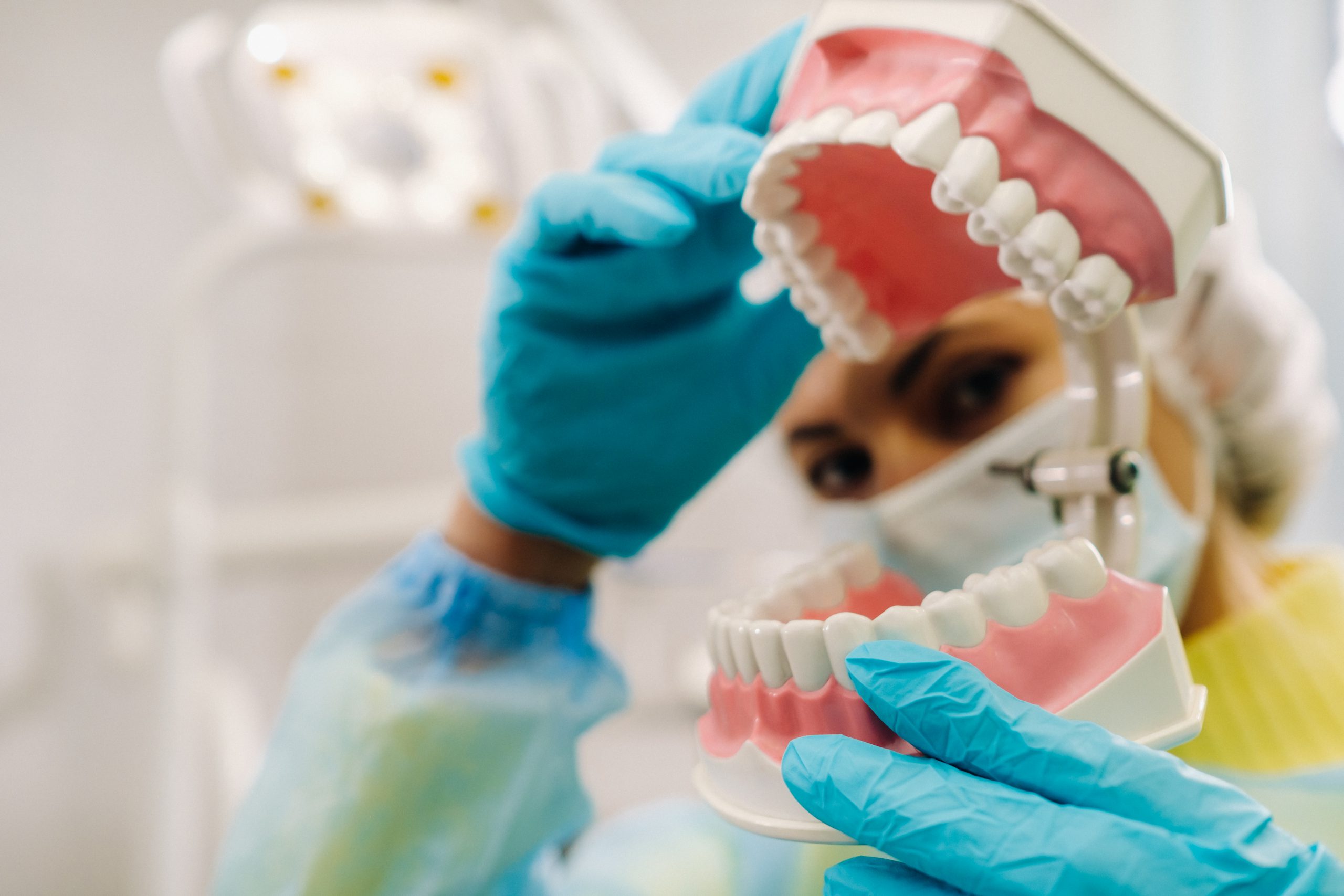 Dental implant on a model