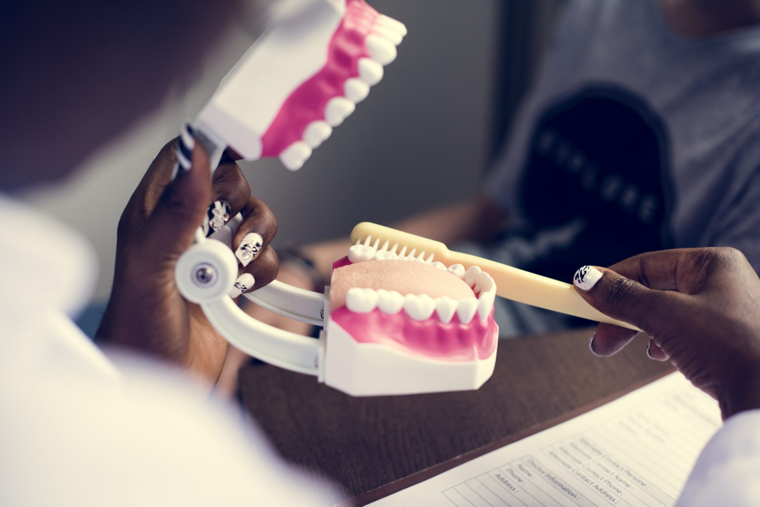 Dental models are oftenly confused with dental prosthesis