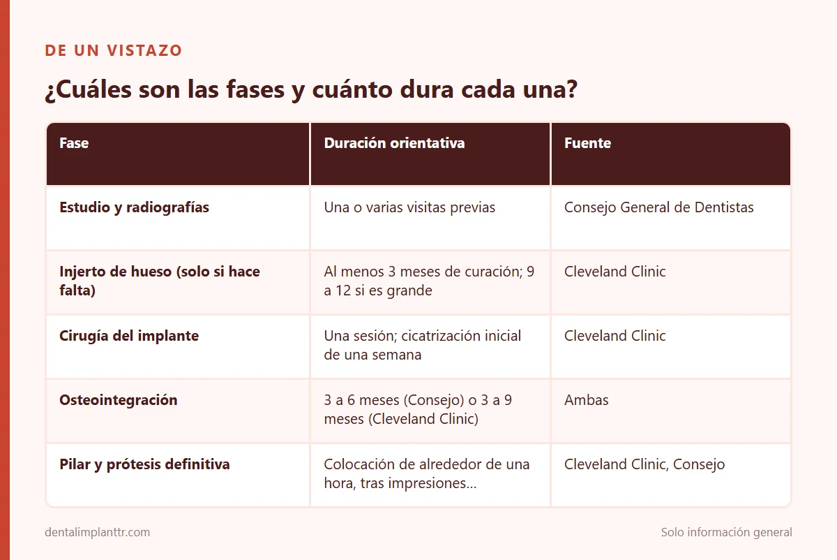 Infografía: ¿Cuáles son las fases y cuánto dura cada una?